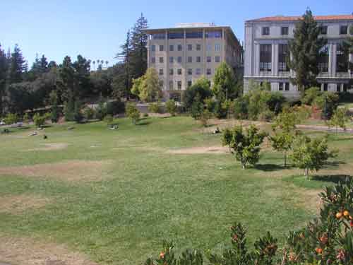 Picture of Memorial Glade